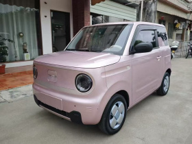 吉利银河 2023款 熊猫mini 200km 耐力熊