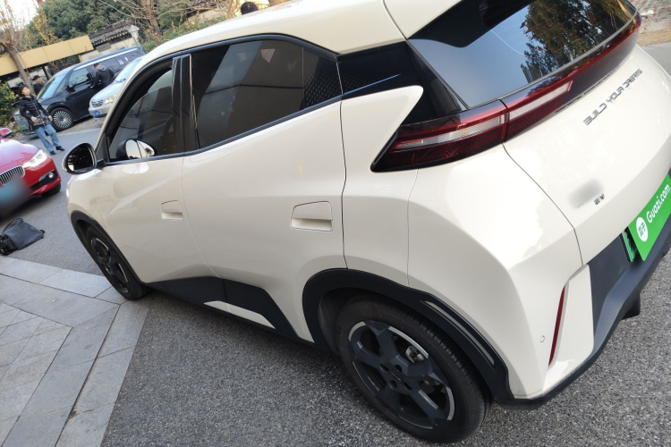 比亚迪 海鸥 2023款 自由版车身外观6003