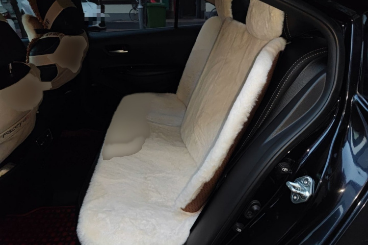 丰田 亚洲狮 2021款 2.0L 豪华版中控内饰7004