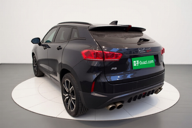 魏牌 P8 2018款 2.0T 旗舰型车身外观5