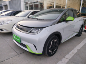 比亚迪 海豚 2021款 405km 时尚版