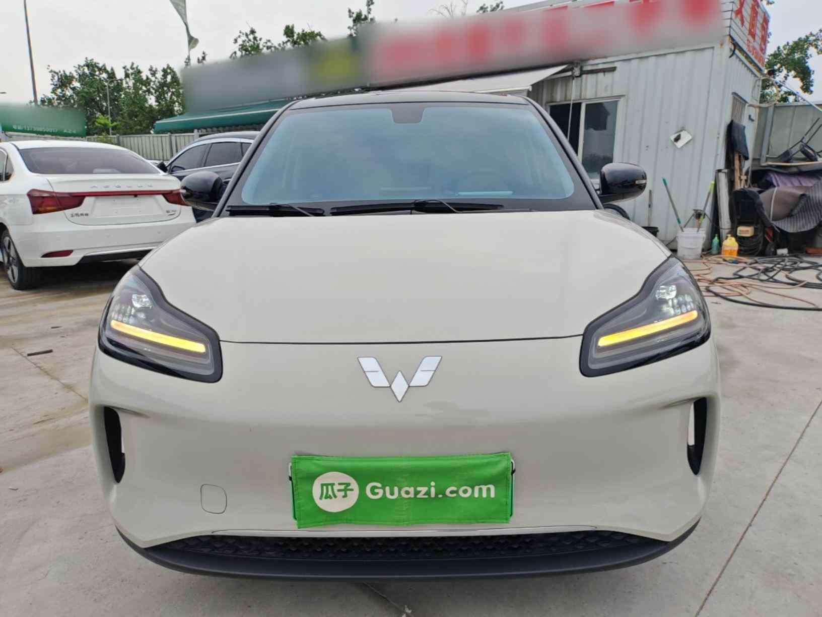 五菱汽车 五菱缤果PLUS 2024款 330km 五座版(1)