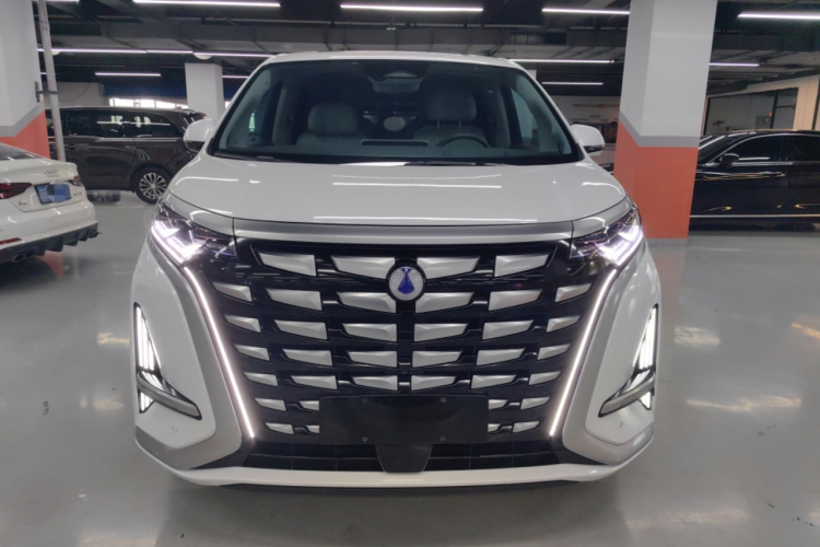 腾势D9 2022款 DM-i 970 四驱旗舰型车身外观6001