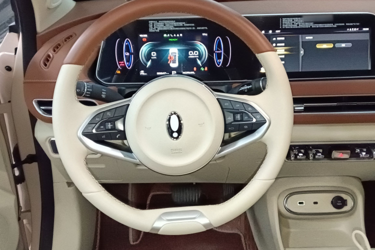 欧拉好猫 2023款 401km标准续航 豪华型 磷酸铁锂局部细节13