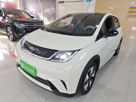 比亚迪 海豚 2025款 420km 时尚版