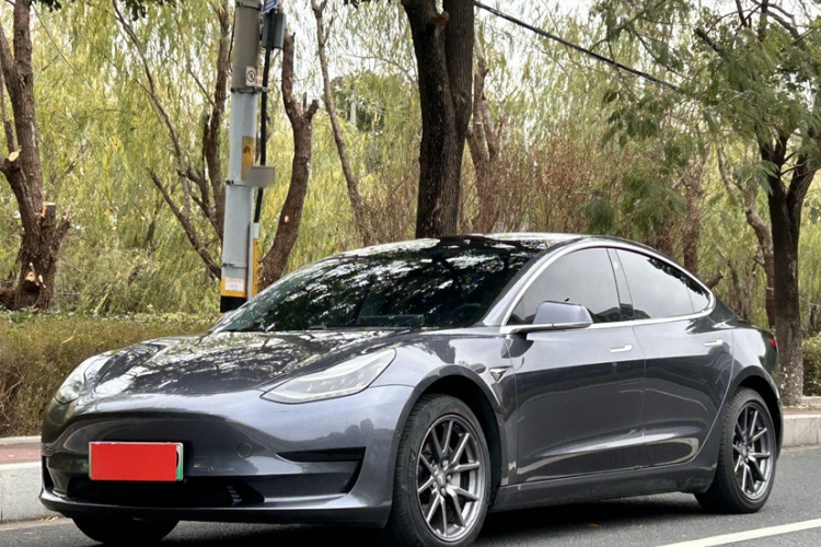 特斯拉 Model 3 2020款 标准续航后驱升级版车身外观6004