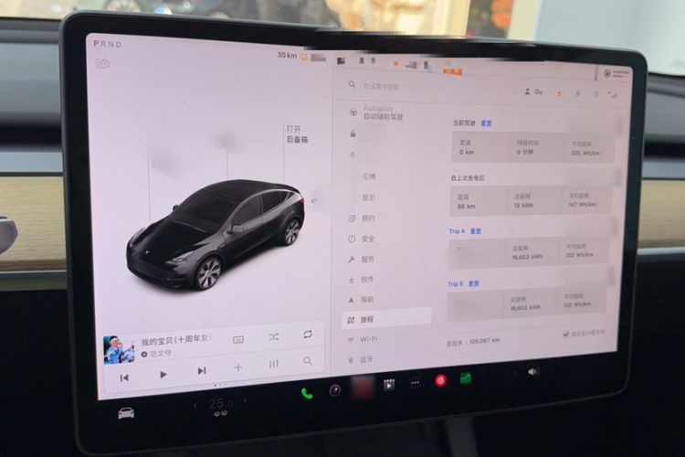 特斯拉 Model Y 2021款 标准续航后驱版局部细节14