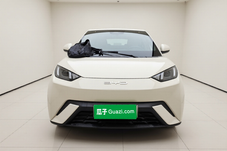 比亚迪 海鸥 2023款 活力版车身外观2