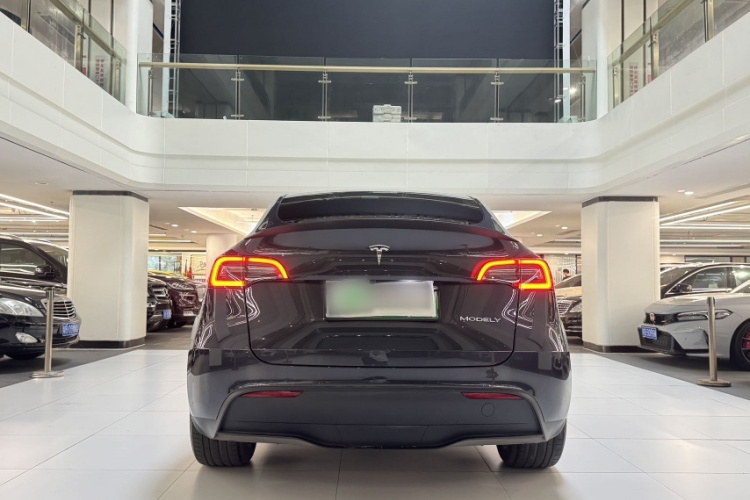 特斯拉 Model Y 2024款 长续航全轮驱动版车身外观6002