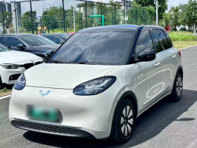 五菱汽车 五菱缤果 2023款 333km 灵犀互联+款