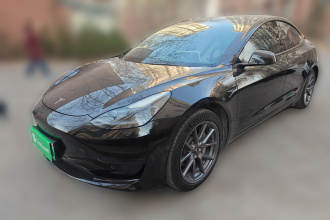特斯拉 Model 3 2021款 改款 标准续航后驱升级版 3D1