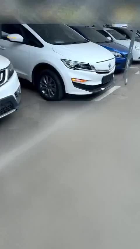 睿蓝汽车 枫叶80V 2021款 易行版 三元锂讲解1