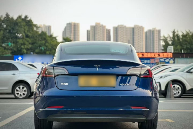 特斯拉 Model 3 2019款 标准续航后驱升级版车身外观6003