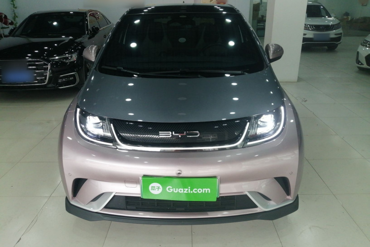 比亚迪 海豚 2023款 401km 骑士版车身外观6001