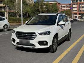 哈弗H6 2017款 改款蓝标 运动版 1.5T 自动两驱豪华型