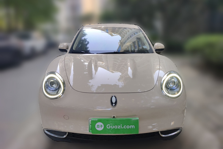 欧拉好猫 2022款 400km标准续航 豪华型 磷酸铁锂车身外观6001