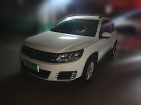 大众 途观 2013款 1.8TSI 自动两驱风尚版