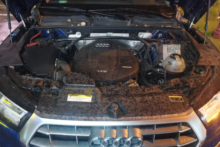 奥迪Q5L 2018款 45 TFSI 尊享时尚型 国V局部细节24