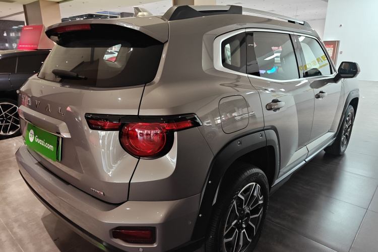 哈弗大狗 PLUS 新能源 2024款 Hi4 102km 潮电版Plus车身外观6005