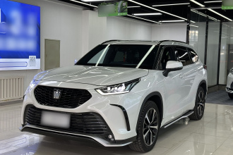 丰田 皇冠陆放 2023款 2.5L HEV四驱尊贵版