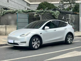特斯拉 Model Y 2021款 标准续航后驱版