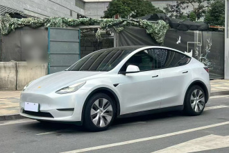 特斯拉 Model Y 2021款 标准续航后驱版