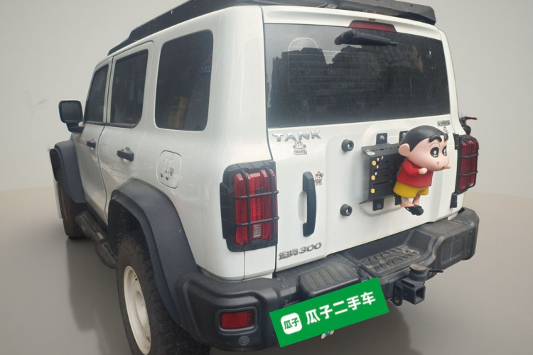 坦克300 2023款 2.0T 铁骑02车身外观5