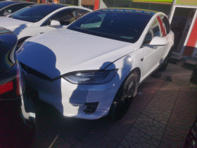 特斯拉 Model X 2019款 Performance 高性能版