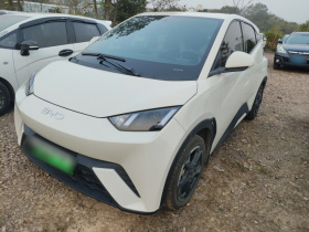 比亚迪 海鸥 2024款 荣耀版 305km 活力版