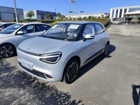 东风纳米 纳米01 2024款 330 Air