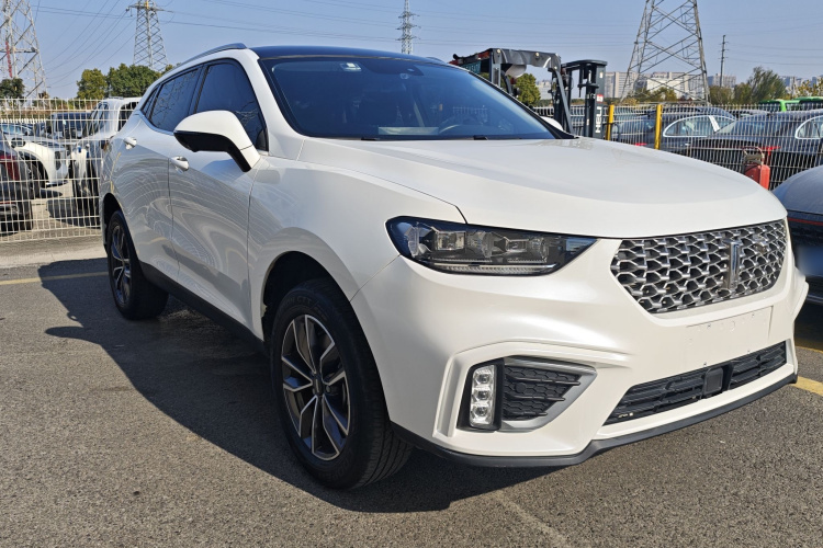 魏牌 VV5 2021款 1.5T 两驱智先锋车身外观6002