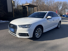 奥迪A4L 2019款 40 TFSI 进取型 国VI