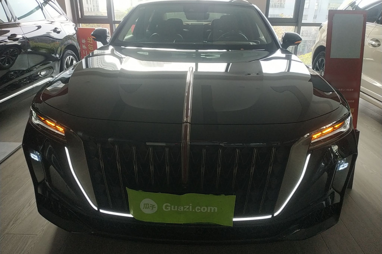 红旗H9 2024款 2.0T 旗畅 私享风尚版车身外观2