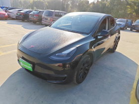 特斯拉 Model Y 2021款 标准续航后驱版