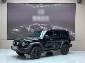 坦克300 2024款 2.0T 征服者