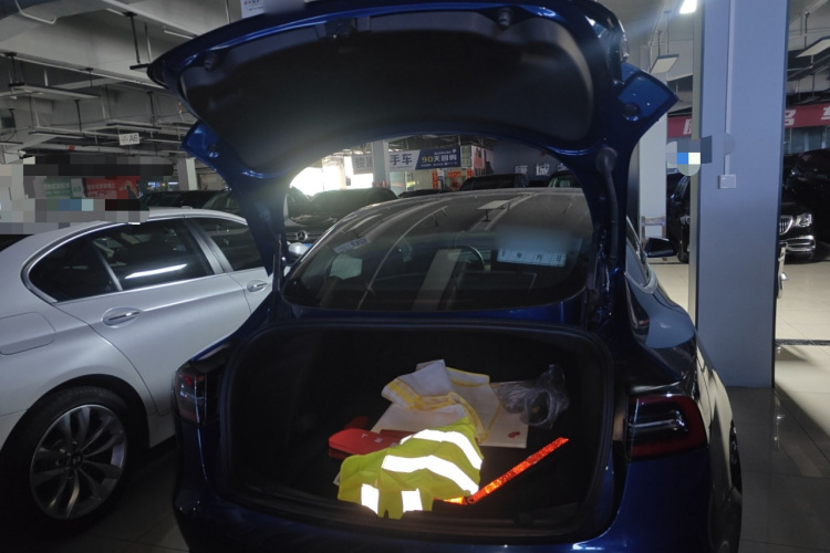 特斯拉 Model 3 2019款 标准续航后驱升级版局部细节23