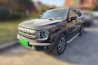 哈弗大狗 2024款 1.5T DCT边牧版