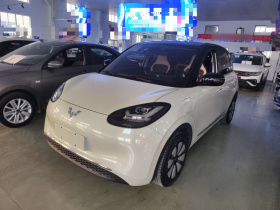 五菱汽车 五菱缤果 2024款 333km 悦享款