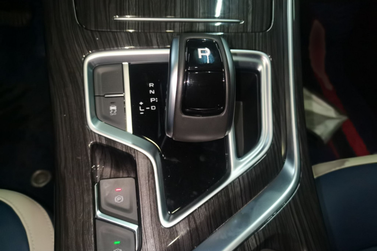 睿蓝汽车 枫叶80v PRO 2022款 舒享型 标准续航版局部细节18