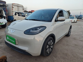 五菱汽车 五菱缤果 2024款 333km 悦享款