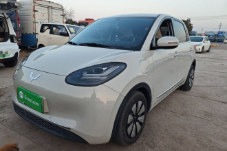 五菱汽车 五菱缤果 2024款 333km 悦享款