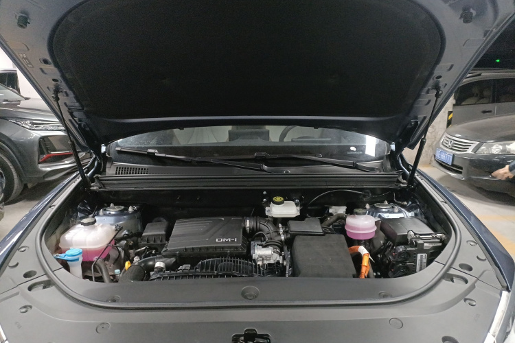 比亚迪 宋Pro新能源 2024款 荣耀版 DM-i 71KM领航型机舱底盘24