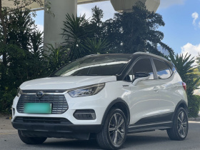 比亚迪 元新能源 2019款 EV535 高能领航版