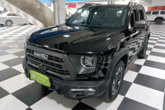 哈弗大狗 2024款 2.0T DCT中华田园犬版