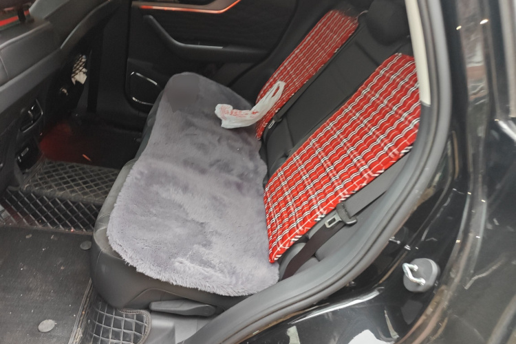 红旗HS5 2022款 2.0T 智联旗享版中控内饰21