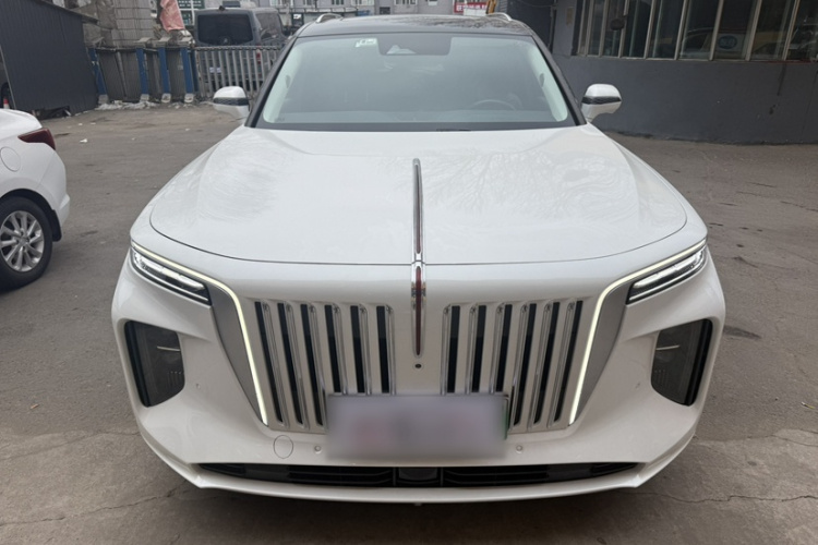 红旗E-HS9 2021款 510km 旗畅版 六座车身外观6001