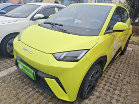 比亚迪 海鸥 2023款 自由版