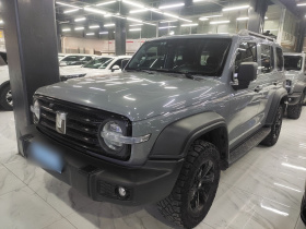 坦克300 2024款 2.0T 征服者