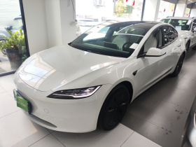 特斯拉 Model 3 2023款 后轮驱动版
