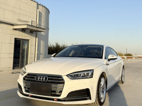 奥迪A5 2019款 Sportback 45 TFSI 时尚型